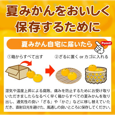 G7074_【2026年先行予約】湯浅産 夏みかん 7.2kg