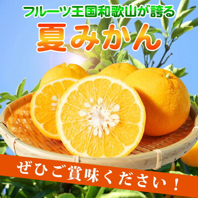 G7074_【2026年先行予約】湯浅産 夏みかん 7.2kg