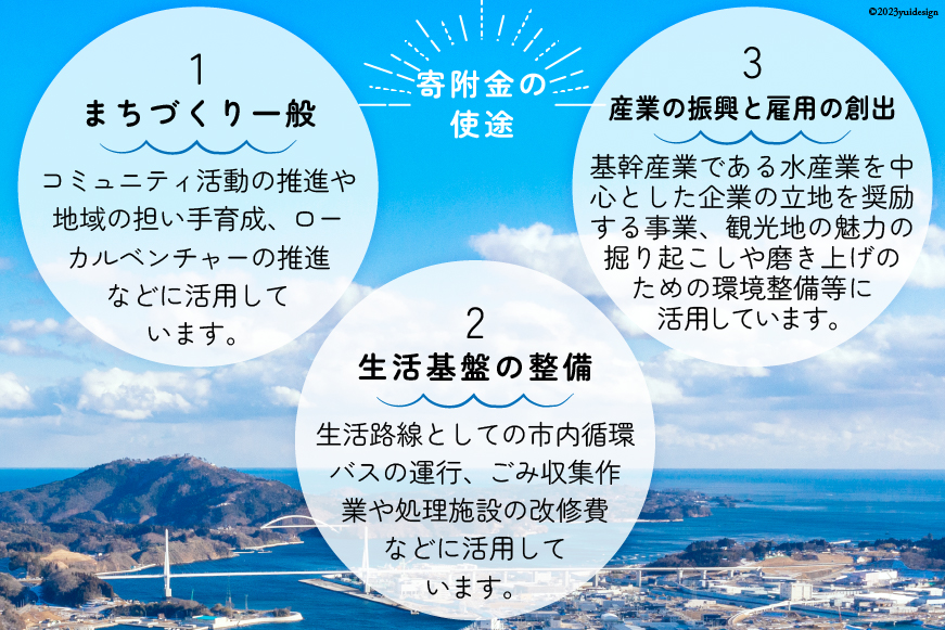 宮城県気仙沼市のふるさと納税 気仙沼市への応援寄附（返礼品はございません） / 宮城県 気仙沼市 [20561928]