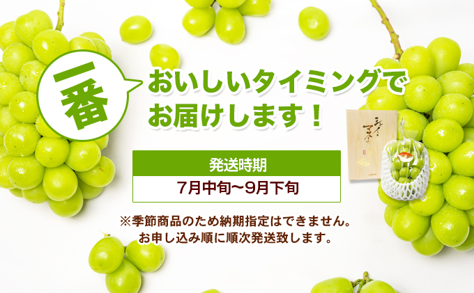 極上 シャインマスカット 大房 700g 1房 化粧箱  マスカット 葡萄 ぶどう ブドウ フルーツ 果物 くだもの 果実 旬の果物 旬のフルーツ 贈答用 ギフト プレゼント 香川 香川県 東かがわ市