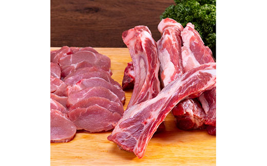 NIN006　なはりゆず豚ヒレ＆スペアリブセット - スペアリブ 豚ヒレ ヒレカツ 一口サイズ 豚 豚肉 国産 詰め合わせ セット 冷凍 料理 おうちごはん 個包装 14000円 高知県産 高知