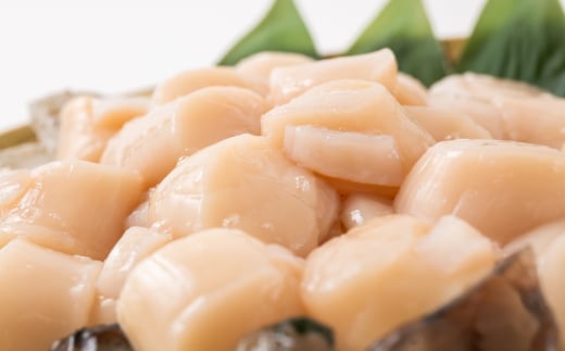 北海道紋別市のふるさと納税 20-286 大粒！冷凍帆立貝柱500ｇ×2(計1kg) ｜ ホタテ ほたて 玉冷