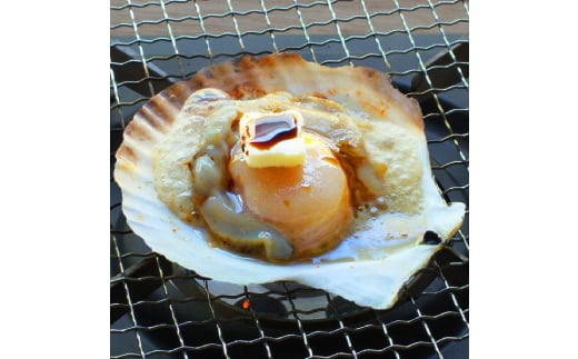 15-293 【年内配送12月15日入金まで】北海道産ホタテハーフシェル【BBQ用片殻付きほたて】 within2025