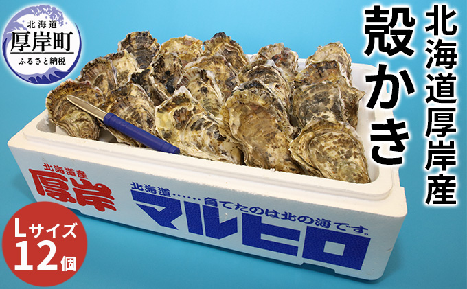 厚岸産 殻かき L12個セット 北海道 牡蠣 カキ かき 生牡蠣 殻付 魚貝類 淡水 豊富 栄養 蓄え 美味しい たっぷり 大きい マルえもん