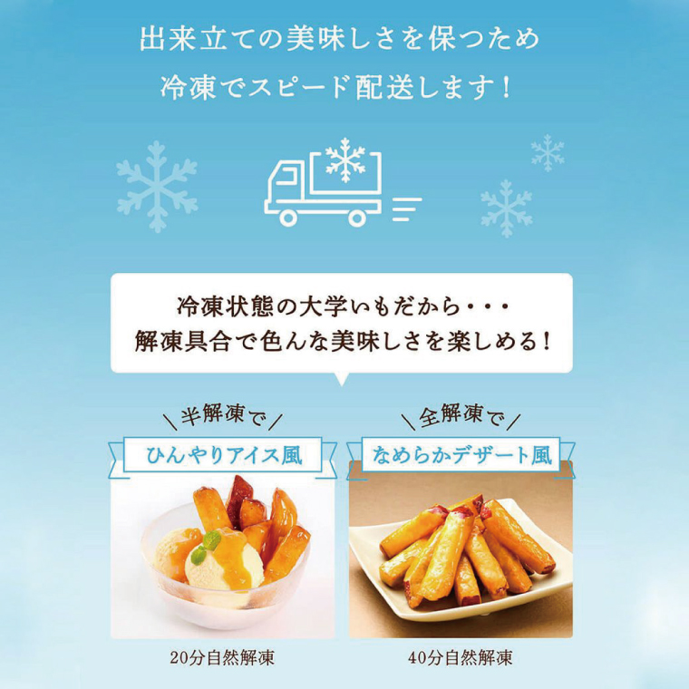 【2025年12月中旬より順次発送】らぽっぽファーム　美腸大学いも　90g×6袋｜さつまいも 大学芋 芋 サツマイモ だいがくいも スイーツ お菓子 冷凍 美腸大学芋 人気 送料無料 茨城県 行方市 らぽっぽファーム(CQ-14)