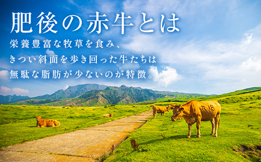 FKK19-396_【肥後あか牛入り】ハンバーグ100gｘ24個（2.4kg） 熊本県 嘉島町