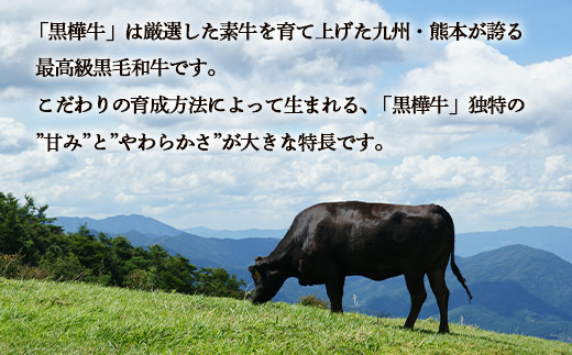 FKK19-734_黒毛和牛 黒樺牛A4～A5等級 ローススライスすき焼き用250g 熊本県 嘉島町