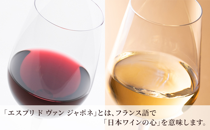 岡山県赤磐市のふるさと納税 ワイン グランポレール エスプリ ド ヴァン ジャポネ 絢 -AYA-、泉 -SEN- 赤・白 2本セット（各1本 720ml）赤ワイン 白ワイン サッポロビール 岡山ワイナリー ワインセット 国産ワイン 家飲み