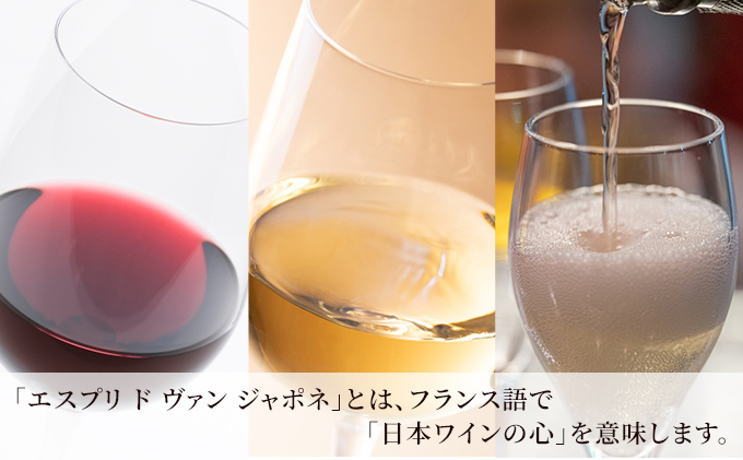 ワイン グランポレール エスプリ ド ヴァン ジャポネ 飲み比べ 12本セット 絢 -AYA-、泉 -SEN-、唯-YUI- 赤ワイン 白ワイン スパークリングワイン サッポロビール 岡山ワイナリー ワインセット 国産ワイン 家飲み 