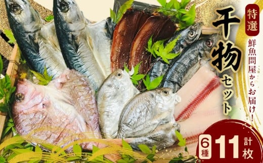 【和歌山県有田郡湯浅町】AD6001n_鮮魚問屋の 特選 干物セット (6種11枚)