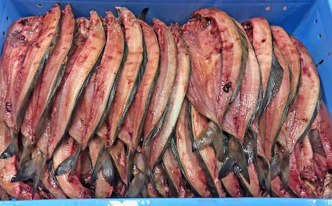 【礼文島リボンプロジェクト】北海道礼文島産　開きほっけ（2枚入）×3 魚貝類 加工食品 自然保護 環境保全 おかず 干物 肉厚 ホクホク 