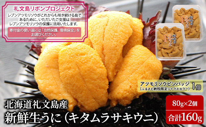 先行予約 【礼文島リボンプロジェクト】北北海道 礼文島産 新鮮生うに（ キタムラサキウニ ）80g×2個 ウニ 雲丹 魚貝類 海の幸 海鮮 