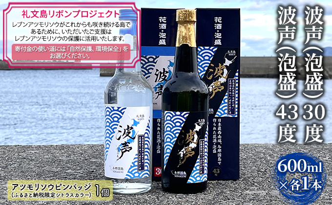 【礼文島リボンプロジェクト】波声（泡盛）30度 600ml×1本 波声（泡盛）43度 600ml×1本 お酒 家飲み 宅飲み 晩酌 自然保護 環境保全 祝い酒 イベント アルコール 
