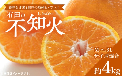 ZD6379n_【2026年先行予約】【濃厚】有田産不知火約4kg（M～3Lサイズ混合）
