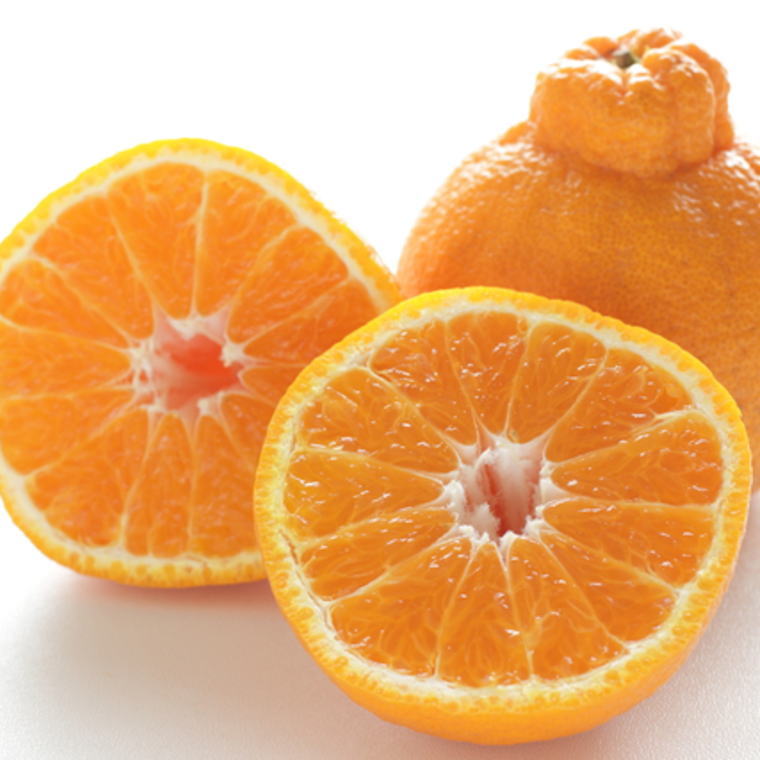 ZD6380n_【2026年先行予約】【濃厚】有田産不知火約4kg（2L～5Lサイズ混合）