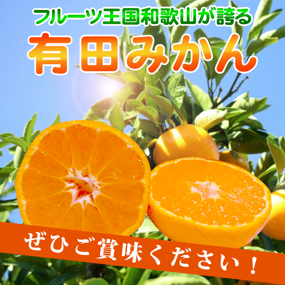 ZN6007n_こだわりの和歌山県産 有田みかん 5kg ひとつひとつ手選別で厳選！生産者から直送