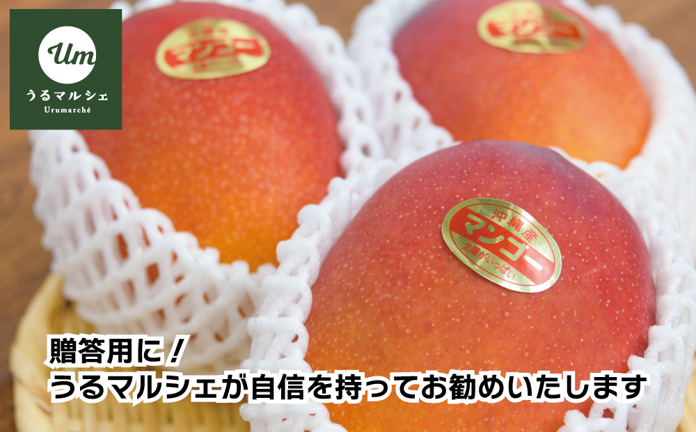 【ふるさと納税】【希少な大玉５００g】徳田さんの極上贈答用マンゴー　特大玉３個　約２kg【 先行予約 2026年発送 】