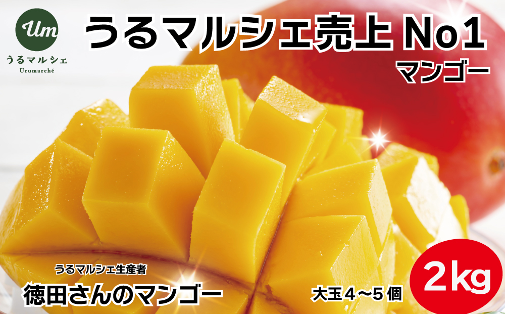 【ふるさと納税】徳田さんの最高級贈答用マンゴー　大玉4～5個　【 先行予約 2026年発送 】