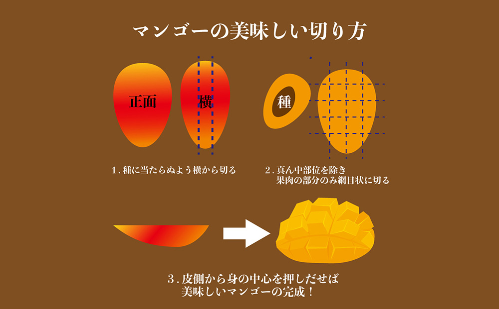 【ふるさと納税】【希少な大玉５００g】徳田さんの極上贈答用マンゴー　大玉2個　約１kg【 先行予約 2026年発送 】アップルマンゴー　マンゴー　極上　贈答用　沖縄県産
