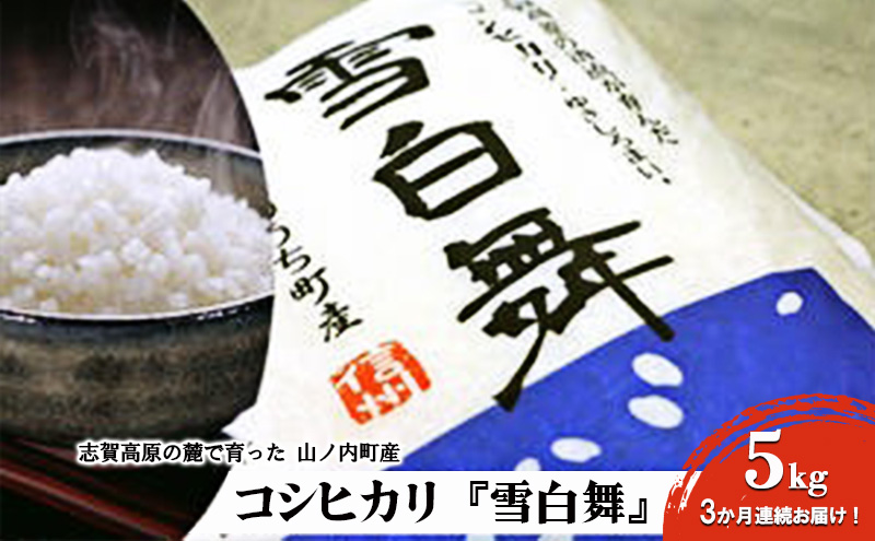 y쌧Rmzuꍂ̘[ň RmYRVqJwᔒx5kg 3A͂I   RVqJ 5kg 5L uh  3