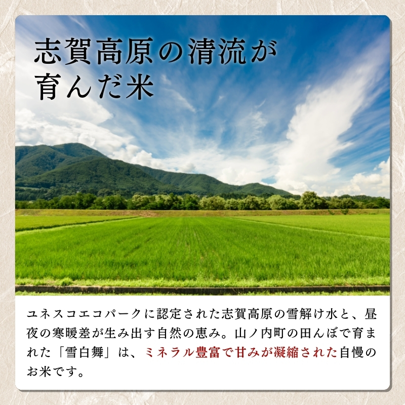 志賀高原の麓で育った 山ノ内町産コシヒカリ『雪白舞』5kg 3か月連続お届け！ 米 お米 コシヒカリ 5kg 5キロ ブランド米 定期 3ヶ月 