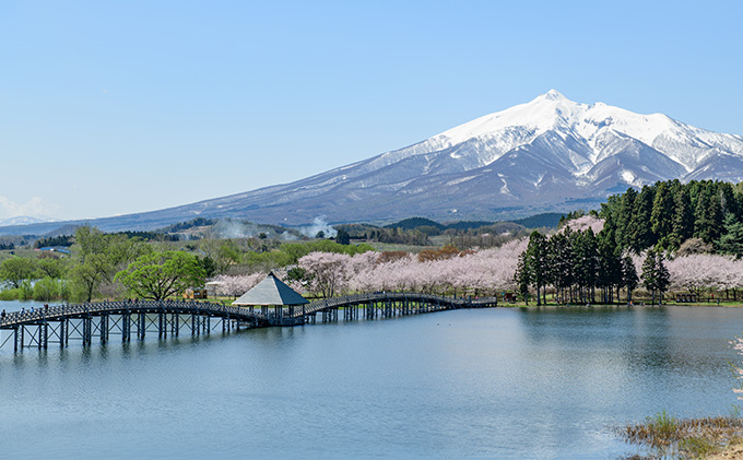 発酵バター使用 サクサクパイ つるのはごろも 15枚入り お菓子 焼菓子 つるパイ 老若男女問 愛される 人気 