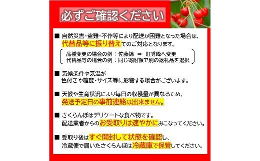 山形県南陽市のふるさと納税 【令和8年産先行予約】 さくらんぼ 「佐藤錦または紅秀峰」 360g (180g×2パック 秀 L以上) 《令和8年6月上旬～発送》 『南陽中央青果市場』 サクランボ 山形県 南陽市 [1475]