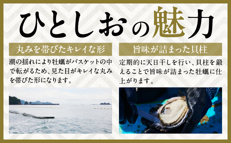 宮崎県日南市のふるさと納税 数量限定 宮崎県産 ブランド 牡蠣 ひとしおオイスター 計20個 魚介 魚貝 かき 生食用 殻付き 国産 おかず おつまみ 食品 海鮮 海産物 シーフード BBQ バーベキュー アウトドア グランピング 海の幸 養殖 絶品 贅沢 ご褒美 お取り寄せ グルメ 日南市 送料無料_CB81-23
