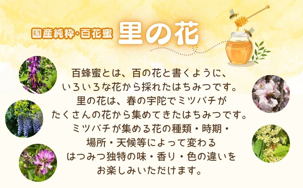 奈良県宇陀市のふるさと納税 国産 純粋 はちみつ 里の花 125g 黄檗 125g (各1本)／ 蜂蜜 ハチミツ 非加熱 無添加 無加工 百花蜜 単花蜜 キハダ お取り寄せ 伊藤ゆう養蜂園 奈良県 宇陀市 ふるさと納税