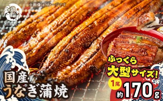 ya̎RLcS󒬁zG7004_^TCY ӂ_炩 YȂ Ă e  yp̉N̓  񂹃O