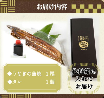 G7004_大型サイズ ふっくら柔らか 国産うなぎ 蒲焼き 容量 発送時期 土用の丑の日 お取り寄せ お取り寄せグルメ 