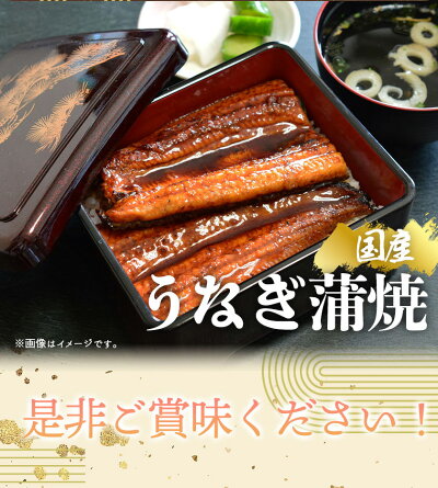 G7004_大型サイズ ふっくら柔らか 国産うなぎ 蒲焼き 容量 発送時期 土用の丑の日 お取り寄せ お取り寄せグルメ 