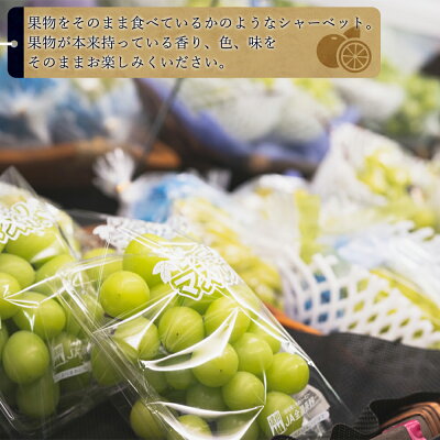 AV6002n_果物たっぷり ジェラート 8個 セット【デザート スイーツ ギフト セット シャーベット】