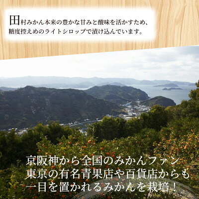 AY6004n_田村みかん 缶詰 8缶セット【フルーツ缶 フルーツ缶詰 みかん 有田みかん 和歌山産】