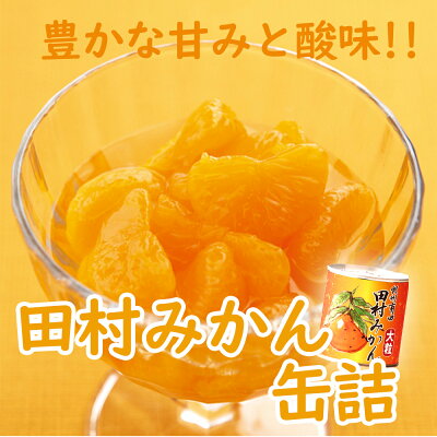 AY6004n_田村みかん 缶詰 8缶セット【フルーツ缶 フルーツ缶詰 みかん 有田みかん 和歌山産】