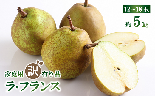 令和7年産先行予約】 〈訳あり品 家庭用〉 ラ・フランス 約5kg