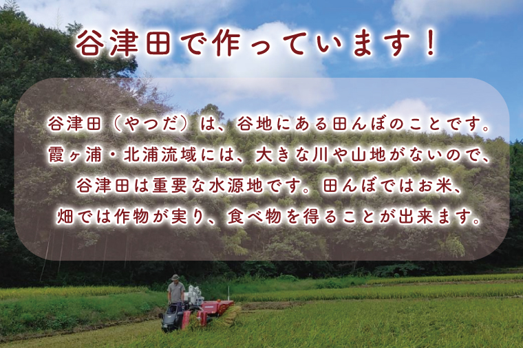 茨城県行方市のふるさと納税 K-14-1　ぼたもち2個＋生クリーム大福10個＋草もち10個＋バタどら5個セット