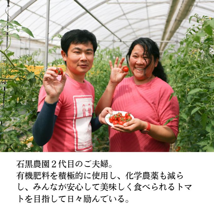 毎日食べたい石黒さんちの ミニトマト たっぷり 3kg 岡山県 瀬戸内市産 石黒農園【配達不可：離島】 野菜 緑黄色野菜 サラダ 付け合わせ 有機肥料 
