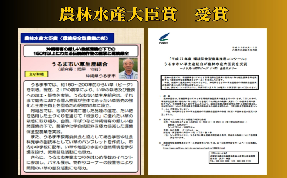 【ふるさと納税】たたみコースター　5枚セット　いぐさ　ビーク　うるま市　沖縄　琉球畳　畳　かわいい　コースター　和風