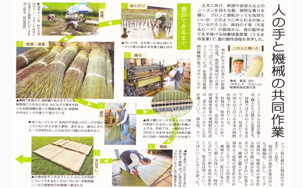 【ふるさと納税】たたみコースター　5枚セット　いぐさ　ビーク　うるま市　沖縄　琉球畳　畳　かわいい　コースター　和風