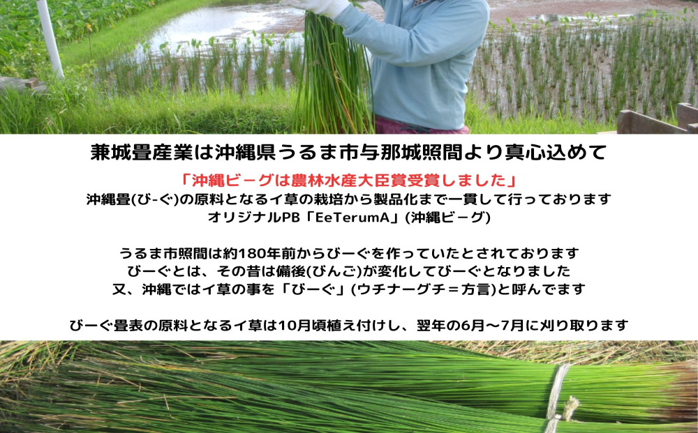 【ふるさと納税】たたみコースター　5枚セット　いぐさ　ビーク　うるま市　沖縄　琉球畳　畳　かわいい　コースター　和風