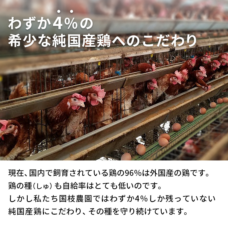 卵 わずか4%の希少な純国産鶏 いけだの森たまご 60個 こだわり
