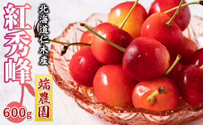先行受付 北海道 仁木町産 さくらんぼ 南陽 600g（300g×2パック） 北海道知事賞受賞農園 デザート スイーツ 最優秀賞 おすすめ 美味しい サクランボ チェリー フルーツ 果物 果物類  仁木町 仁木 [端農園]