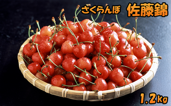 先行受付 北海道 仁木町産 さくらんぼ 佐藤錦 1.2kg（300g×4パック） 美味しい 人気 おすすめ お裾分け サクランボ チェリー フルーツ 果物 果物類  仁木町 仁木 [JA新おたる]