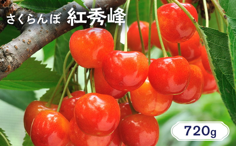 �y�k�C���m�ؒ��z�k�C�� �m�ؒ��Y �������� �g�G�� 720g�i180g×4�p�b�N�j �������� �l�C �������� �������� �T�N�����{ �`�F���[ �t���[�c �ʕ� �ʕ���  �m�ؒ� �m�� [JA�V������]