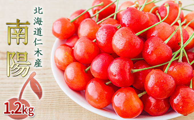 北海道 仁木町産 さくらんぼ 南陽 1.2kg（300g×4パック
