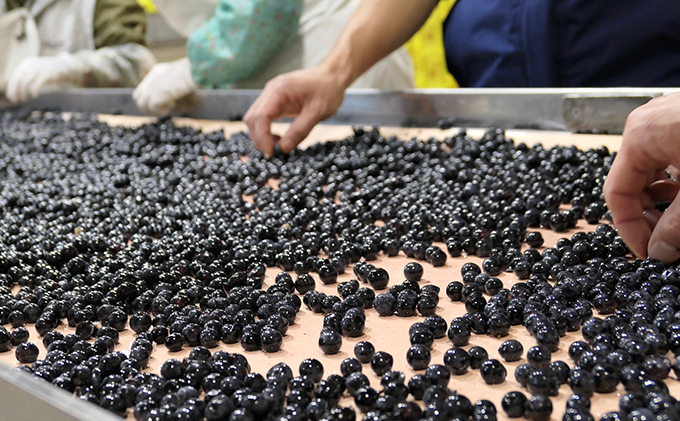 ソラリス 千曲川 カベルネ・ソーヴィニヨン 750ml×1本 赤ワイン お酒 ぶどう酒 タンニン 完熟した香り 果実味 スパイシー 晩酌 おうちディナー 飲み物 家飲み 宅飲み 