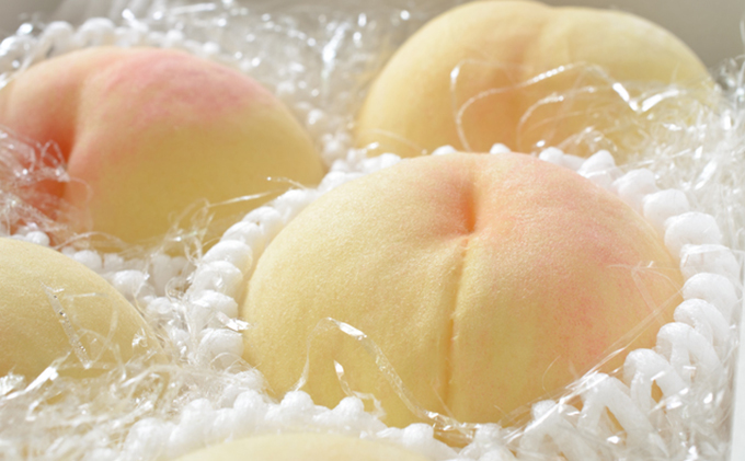 【2026年先行予約】 桃 岡山県産 白桃 光センサー選果 厳選 ロイヤル 約1.5Kg （6～7玉） 《2026年6月下旬-7月中旬頃出荷》 白桃 はくとう モモ もも 桃 数量限定 岡山 里庄町 