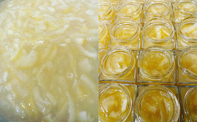 FRUITS JEWELRY 岡山 レモン マーマレード 120g×3個 セット （ 瀬戸内市 牛窓産 レモン使用） ジャム 無添加 皮ごと ビタミン フルーツジャム パン 塗る つける ヨーグルト 食卓 朝食 さわやか 