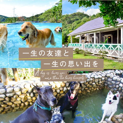 AL6007n_『パートナーズハウスゆあさ』ランチ付き・日帰り利用券（2名様+1頭）【チケット 券 旅行 旅行券 利用券 旅館 トラベル】